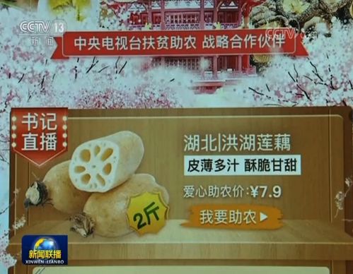 各界攜手助力湖北農副產品銷售推廣