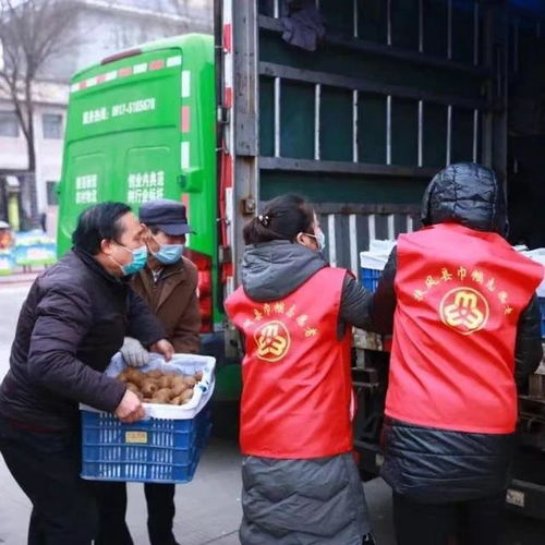 蘇陜農副產品直通車 以愛心助農打通扶風農產品銷售新渠道