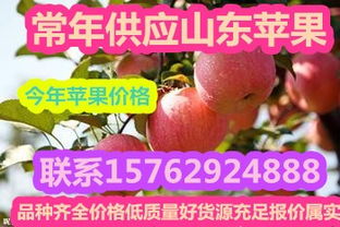 沂水鴻達農副產品購銷處 可靠的紅星蘋果批發(fā)供應商