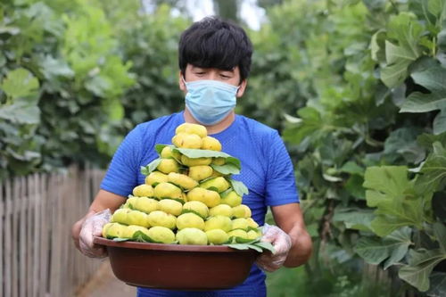 愛心助農丨網紅經濟新引擎，岳普湖特色食品香飄萬里