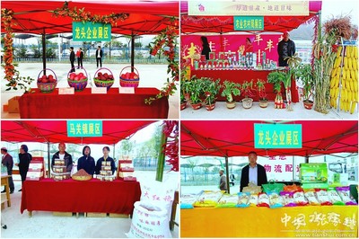 張家川縣特色農產品借力電子商務，在農民豐收節上大放異彩