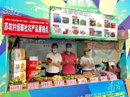賞梯田美景，購地道風物 陸河上護鎮農副產品展銷大賽火熱進行