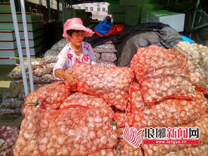 上半年臨沂市市場主要農副產品價格整體平穩 食品銷售呈穩中有升態勢