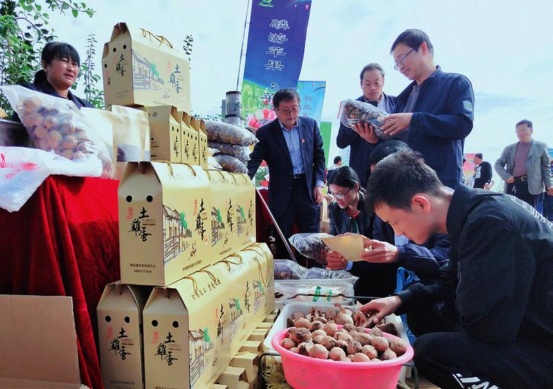 線上線下齊發力 食品銷售再現火爆盛況